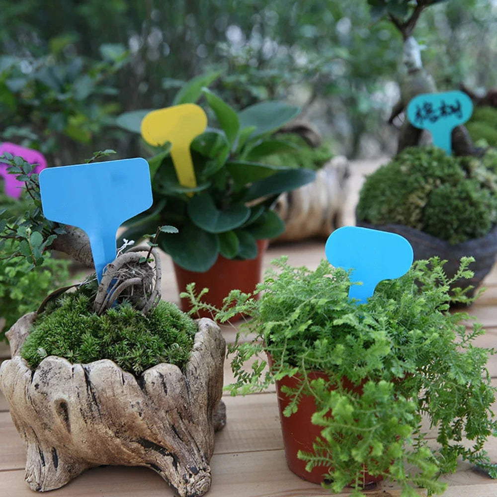 White Waterproof Garden Plant Labels PVC Sign Tags – 100pcs Garden Plant Labels Qme