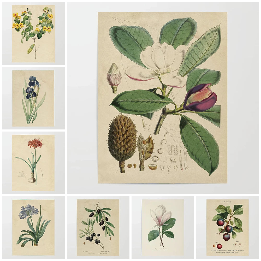 Retro Botanical Canvas Print – Antique Plant & Flower Wall Art Canvas Wall Art Qst