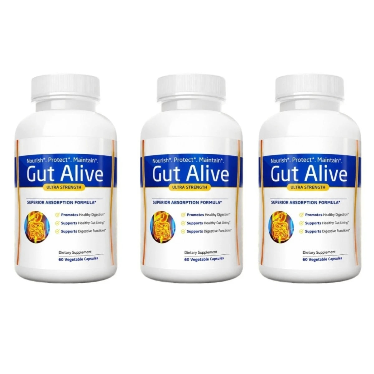 Gut Alive Natural Digestive Supplement – 120 Capsules | Ginger Digestive Supplement Qst 180 Count(Pack of 3)