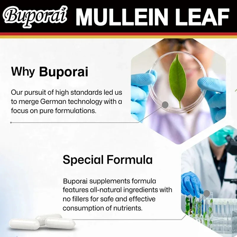 Mullein Leaf Capsules – Organic Lung & Respiratory Support Herbal Supplement Qst