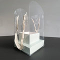 Rose Flower Hand Packaging Box – Waterproof Transparent Florist Florist Packaging Box Qme Light green