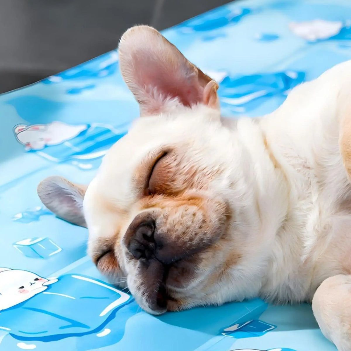 Foldable Cooling Dog Bed | Portable Pet Mattress – M Size Dog Cooling Bed Qme