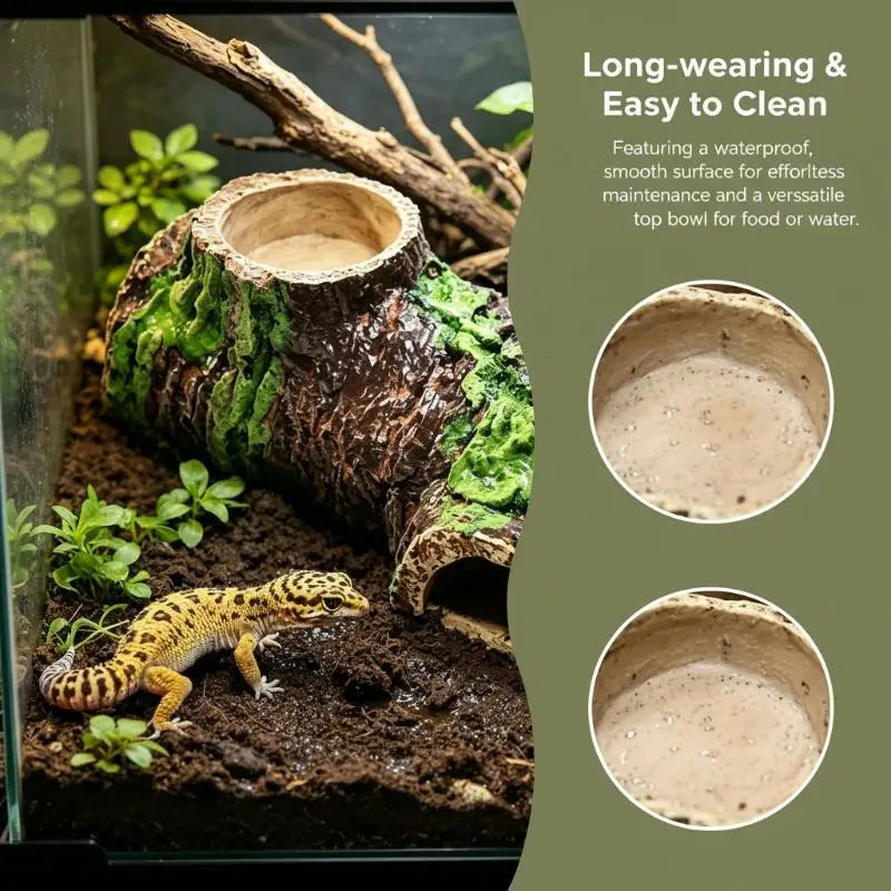 Natural Bark Reptile Hideaway Cave | Lizard & Snake Shelter Reptile Hideaway Cave Qme