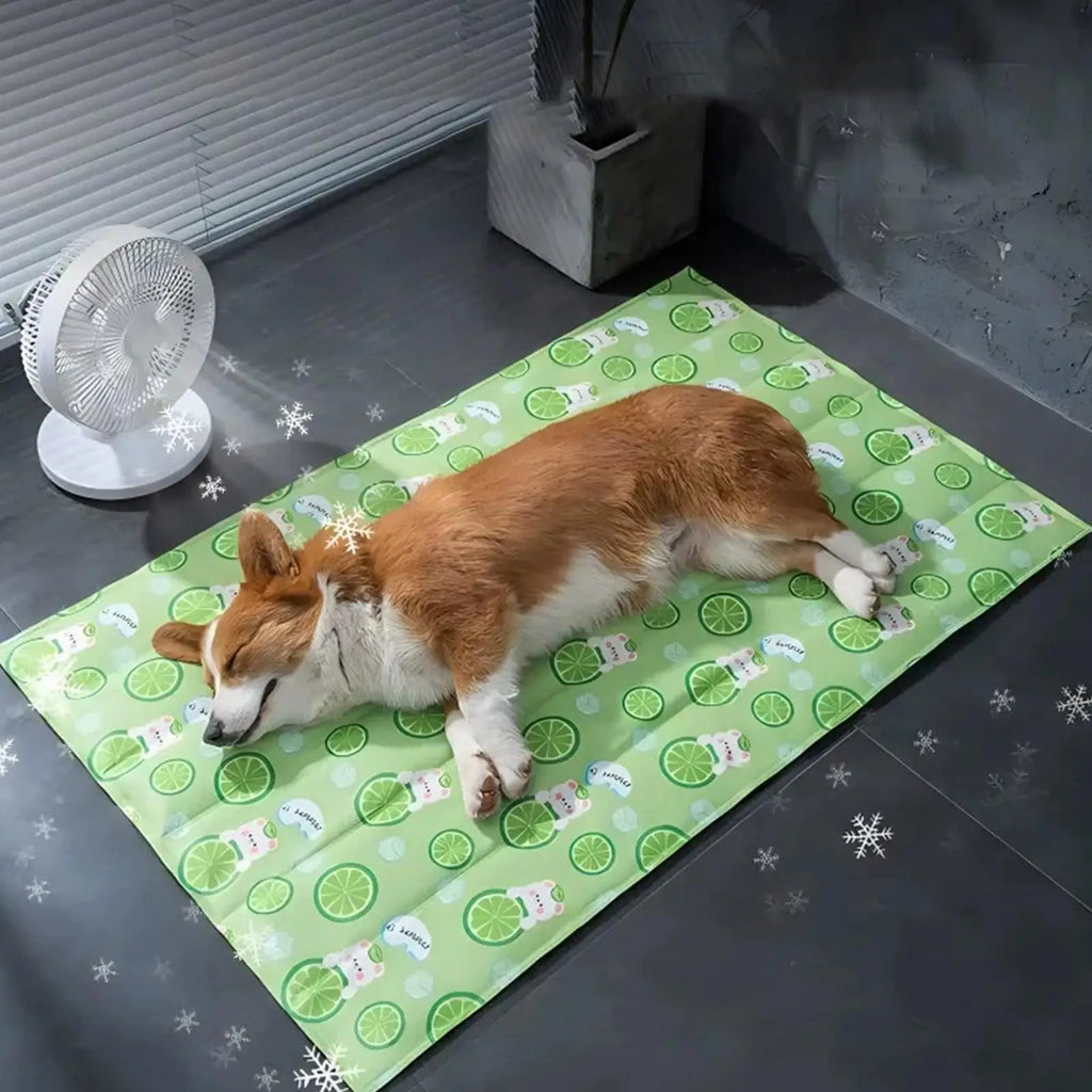 Foldable Cooling Dog Bed | Portable Pet Mattress – M Size Dog Cooling Bed Qme