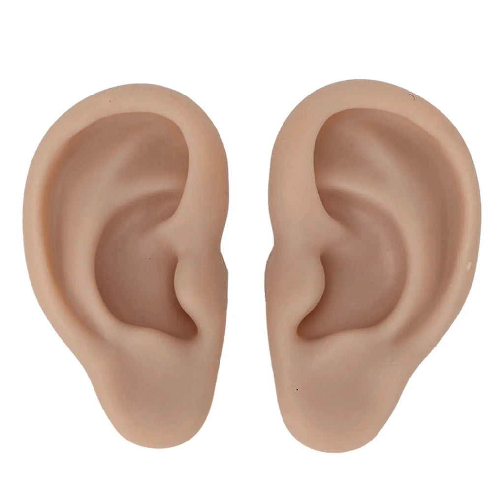 Silicone Ear Model for Earrings Display & Piercing Practice Ear Display Model Qme Dark complexion