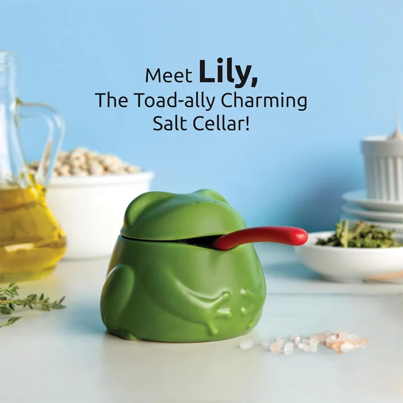 Frog Salt Cellar & Seasoning Jar – Cute Kitchen Decor Salt Cellar Qme