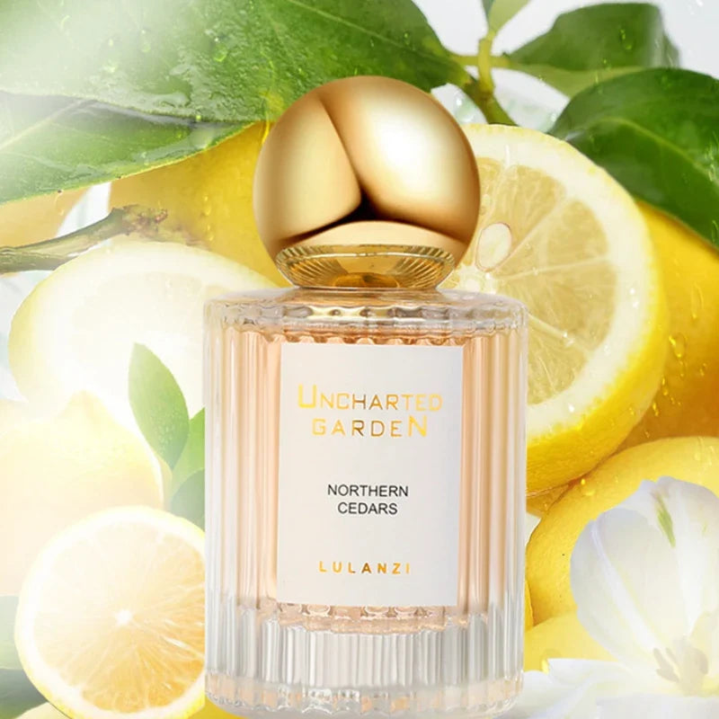 French Floral Unisex EDT Perfume Spray 50ml – Fresh & Lasting EDT Perfume Spray Qme