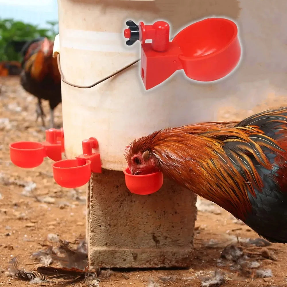 Automatic Poultry Water Dispenser for Chickens, Geese & Quail Poultry Water Dispenser Qme