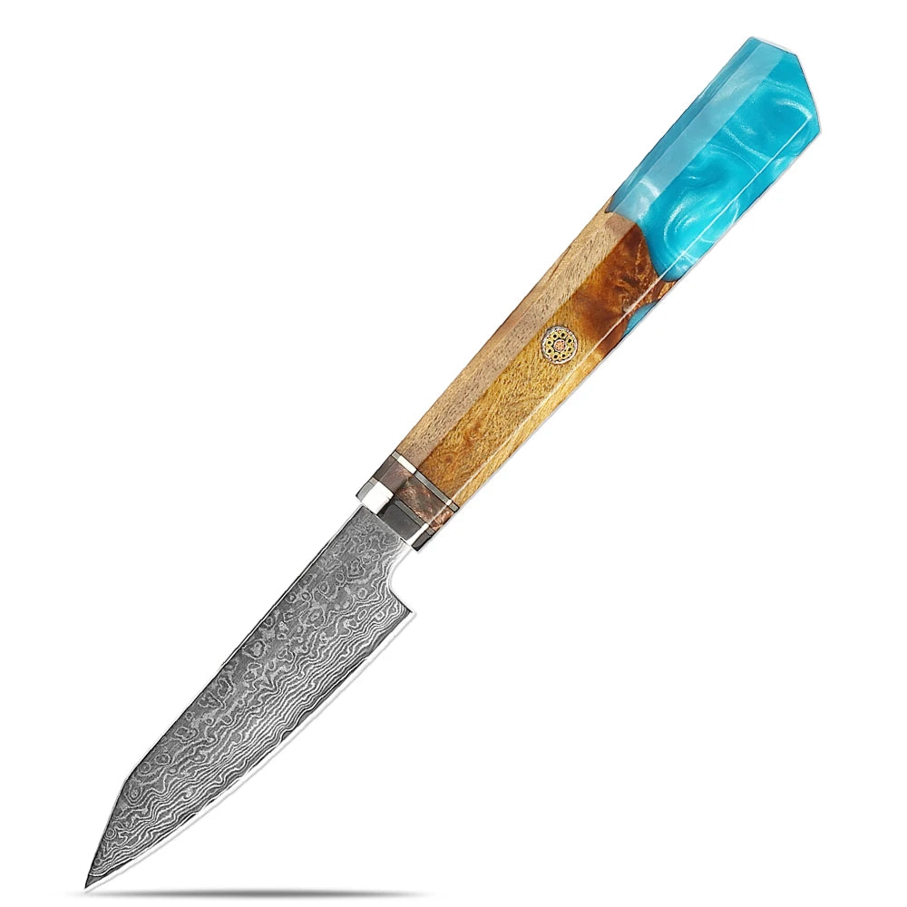 XITUO Damascus Steel Chef Knife Set – Sea Blue Resin Handle Chef Knife Set Qst Paring Knife