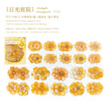 Kawaii Flower Plant Stickers 20pc – DIY Scrapbooking Labels Decorative Craft Stickers Qme J6