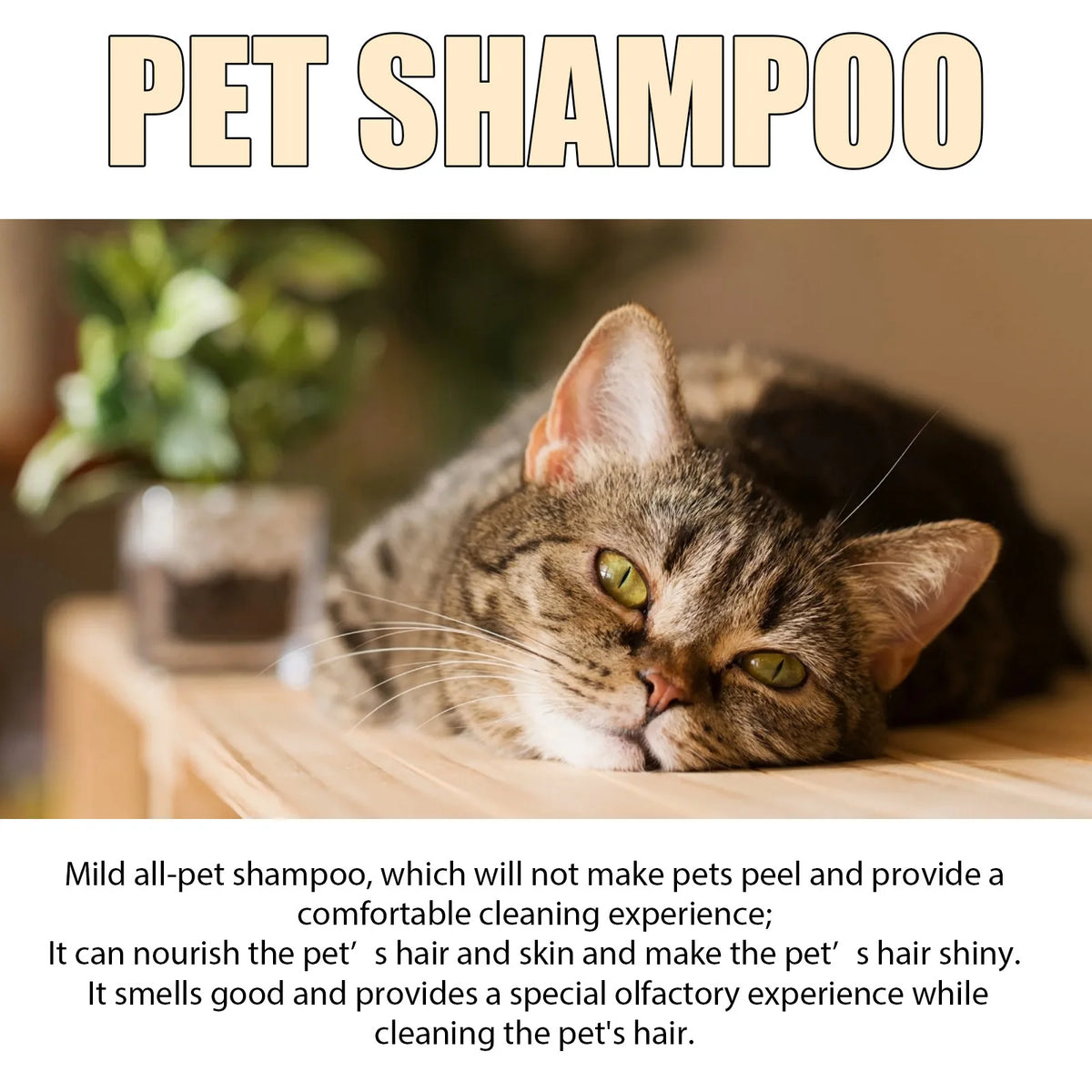YEGBONG Pet Shampoo – Flea & Mite Defense, Coat Softening Pet Grooming Shampoo Qst