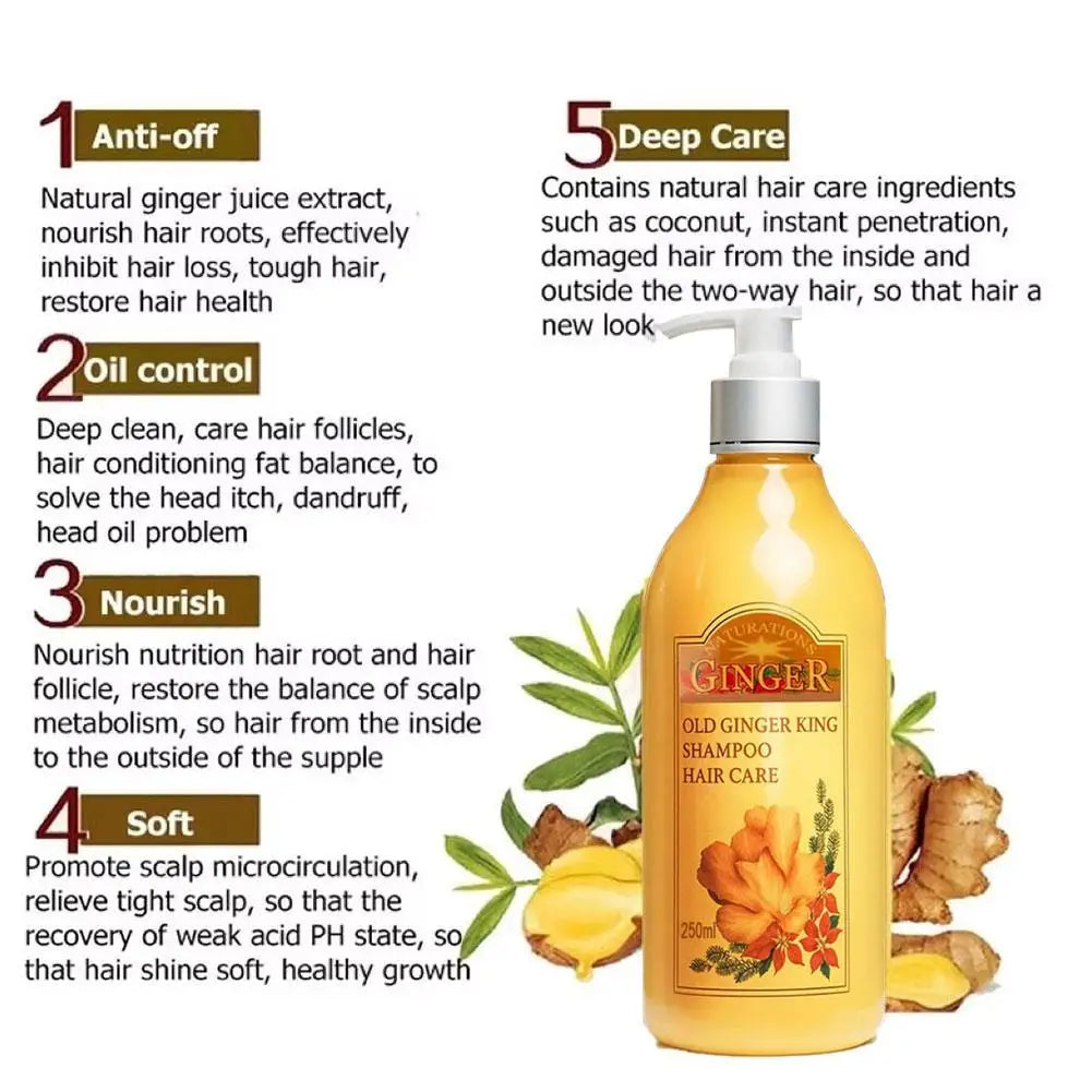 Old Ginger Juice Shampoo – Professional Scalp Treatment 1L Scalp Treatment Shampoo Qme
