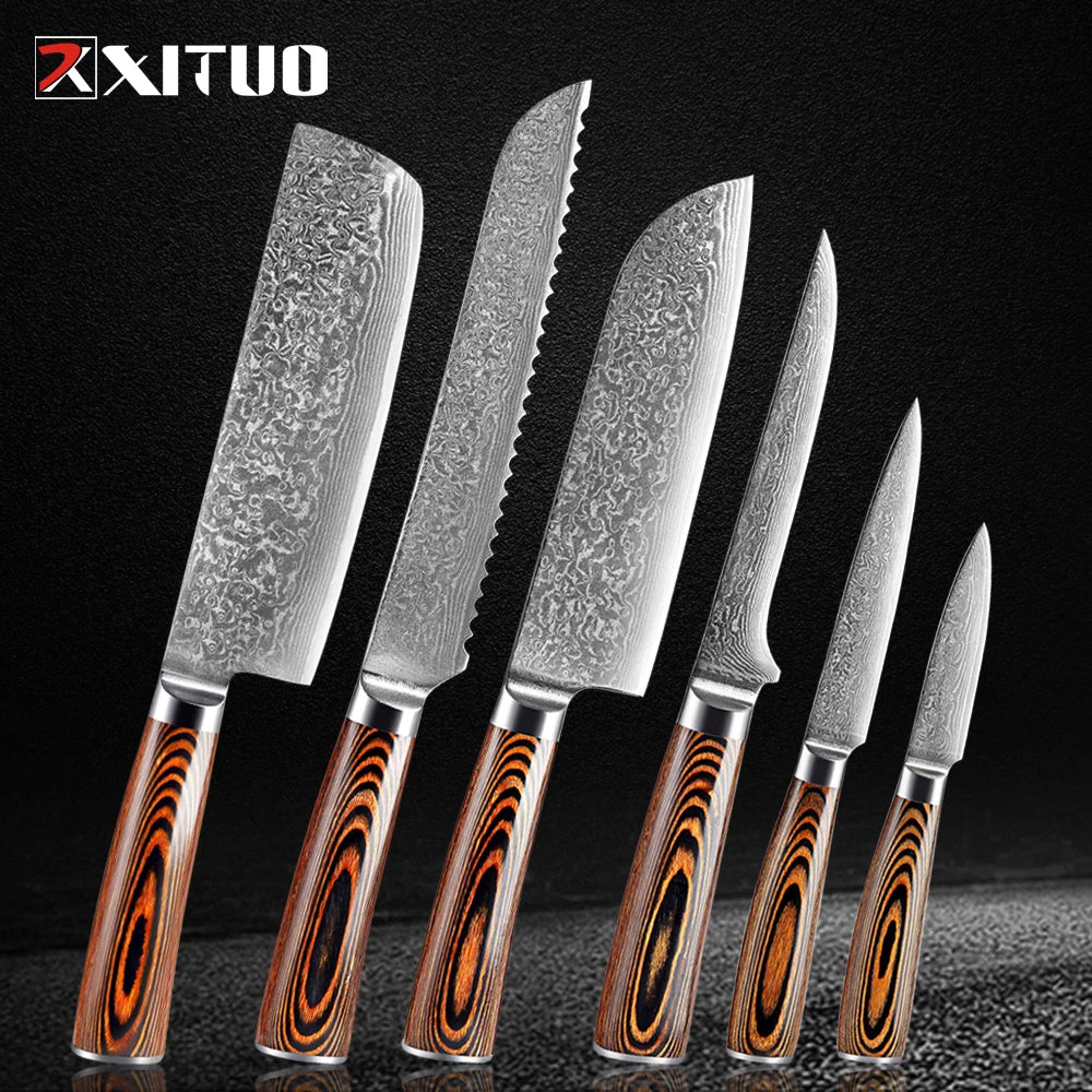 XITUO Damascus Steel Kitchen Knife Set – Colored Wood Handle Kitchen Knife Set Qst