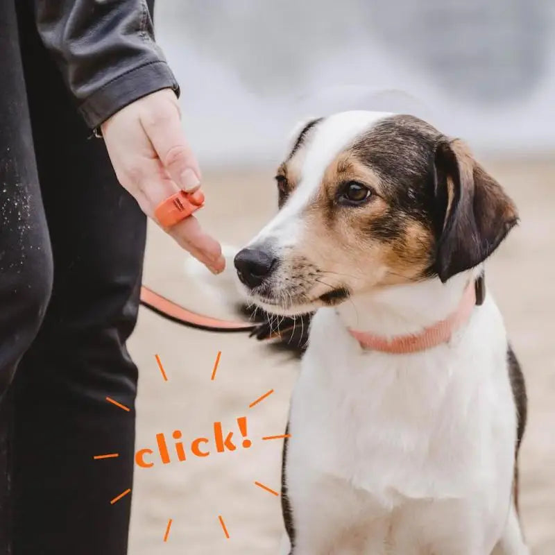 Pet Ring Finger Clicker – Mini Stainless Steel Dog Training Tool Pet Training Clicker Qst