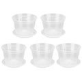 Clear Orchid Pots with Holes & Saucers – Set of 5 | 5.5in Orchid Planter Set Qme WHITE