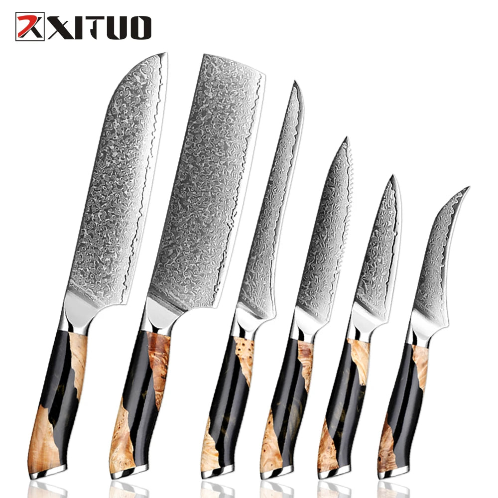 XITUO Damascus Steel Kitchen Knife Set – Santoku & Utility 1–6PCS Kitchen Knife Set Qst 6PCS Knife