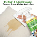 Qme Pet Stain Remover – Deep Clean Urine Stains & Odors Pet Stain Remover Qme Default Title