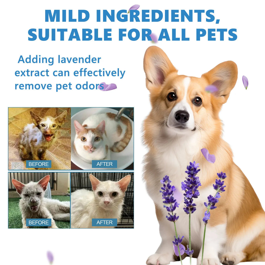 Yegbong No-Rinse Pet Shampoo – Dog & Cat Wash Free Essence Pet Grooming Shampoo Qst