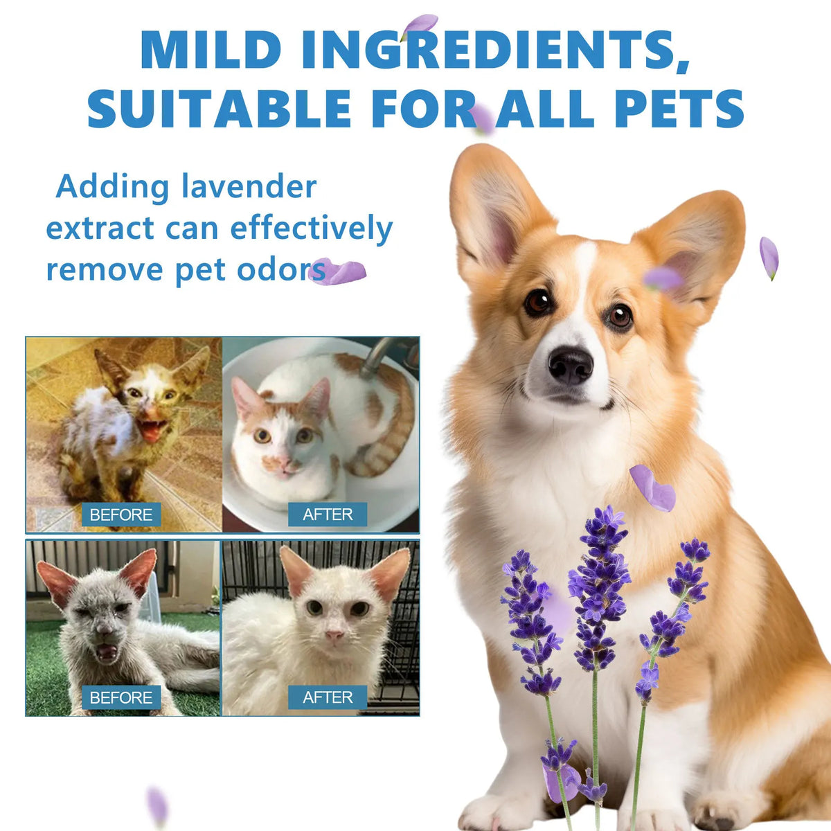 Yegbong No-Rinse Pet Shampoo – Dog & Cat Wash Free Essence Pet Grooming Shampoo Qst