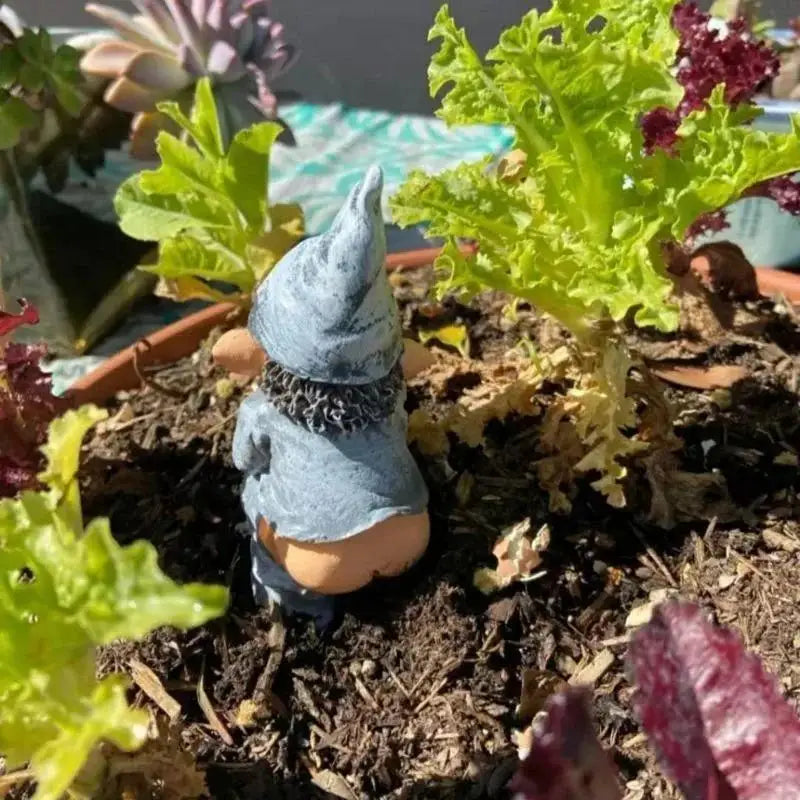 Naughty Dwarf Resin Garden Statue | Lawn & Balcony Decor Garden Statue Qme