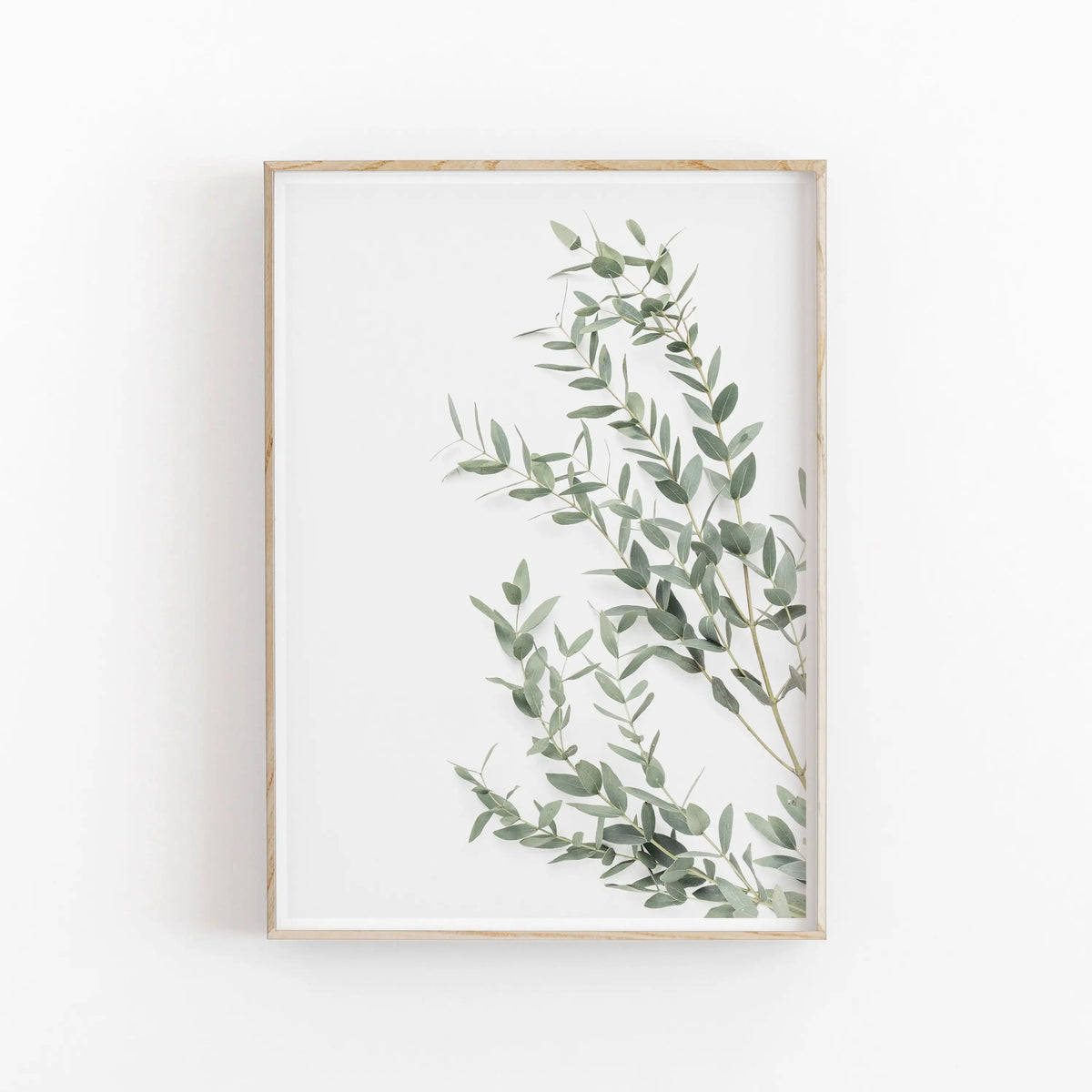 Nordic Botanical Canvas Poster – Eucalyptus Palm Leaf Wall Art Canvas Wall Art Qst 06 40x60cm Unframed