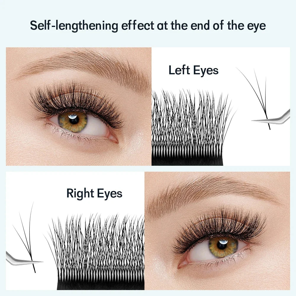 Fox Eye W-Shaped 3D 4D 5D Volume Eyelash Extensions | NATUAHANA False Eyelash Extensions Qme