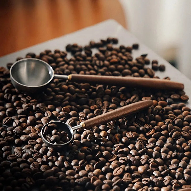 Walnut Coffee Spoon – Stainless Steel Long Handle Measuring Spoon Coffee Measuring Spoon Qme