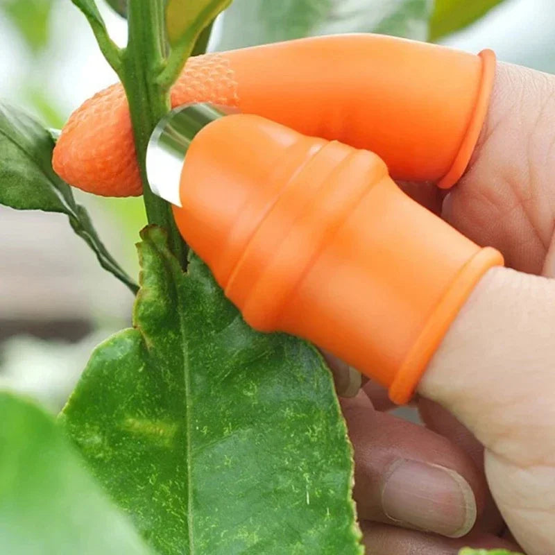 Stainless Steel Thumb Knife Finger Cots – Garden Picking Tool Garden Picking Tool Qme