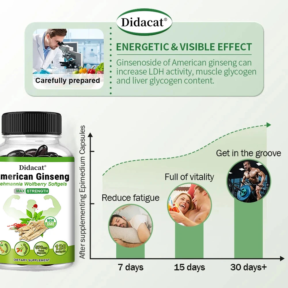 Organic American Ginseng Capsules – Non-GMO, 60 Count Herbal Supplement Qst