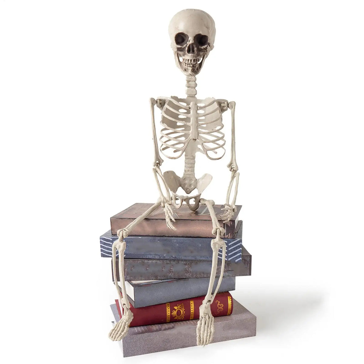 Halloween 2ft Outdoor Skeleton Skull Prop – Resin Bone Decor Halloween Skeleton Prop Qme
