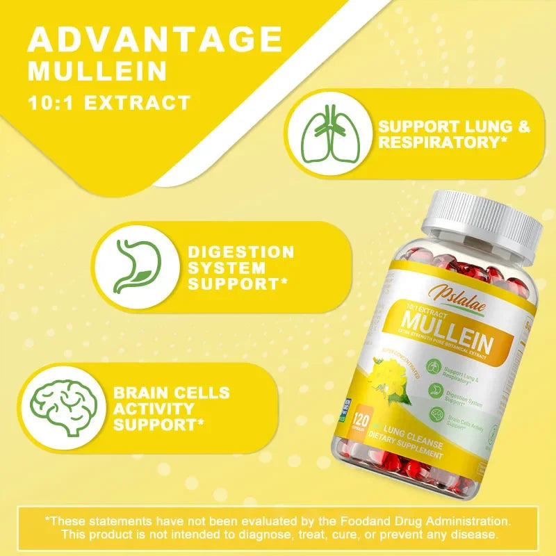 Mullein Leaf Extract Capsules – Antioxidant & Lung Support Herbal Supplement Qst