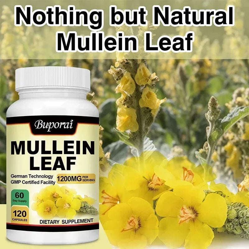 Mullein Leaf Capsules – Organic Lung & Respiratory Support Herbal Supplement Qst