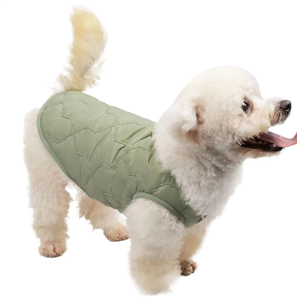Dog Winter Jacket Thermal Warm Coat for Small & Medium Dogs Dog Winter Jacket Qme