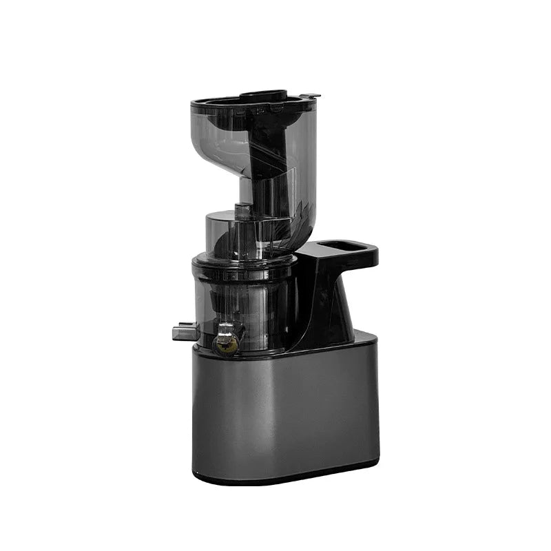 2L Stainless Steel Slow Juicer – Commercial Juice Extractor Slow Masticating Juicer Qst