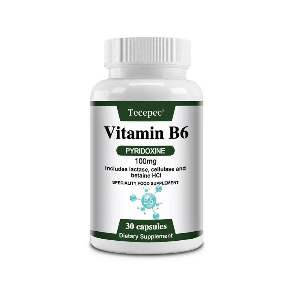 ZENVITALIZE Vitamin B6 Capsules – Non-GMO, Vegetarian Vitamin B6 Supplement Qst 30 count-1 bottle