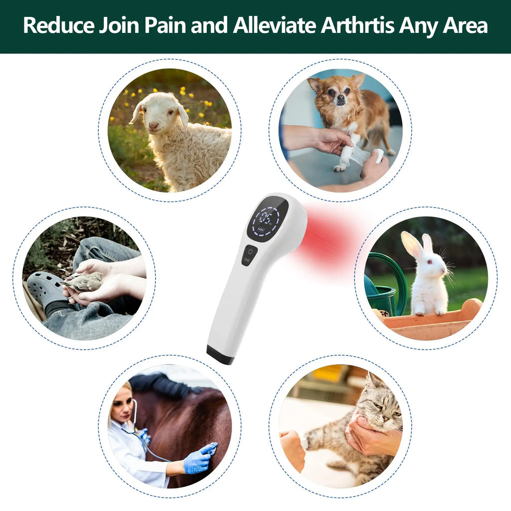 Cold Laser Therapy Device for Humans & Pets – 808nm + 650nm Laser Therapy Device Qst