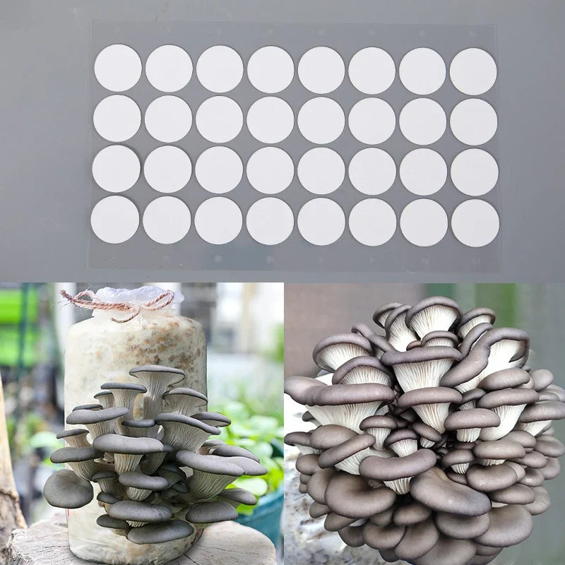 PTFE Breathable Membrane Mushroom Cultivation Jar Lids – 32pcs Mushroom Cultivation Filter Qme