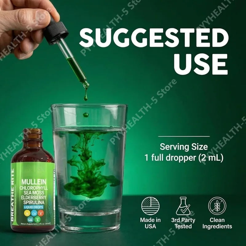 Mullein Leaf Extract Liquid Drops – Chlorophyll Supplement 2 Oz Herbal Liquid Supplement Qst