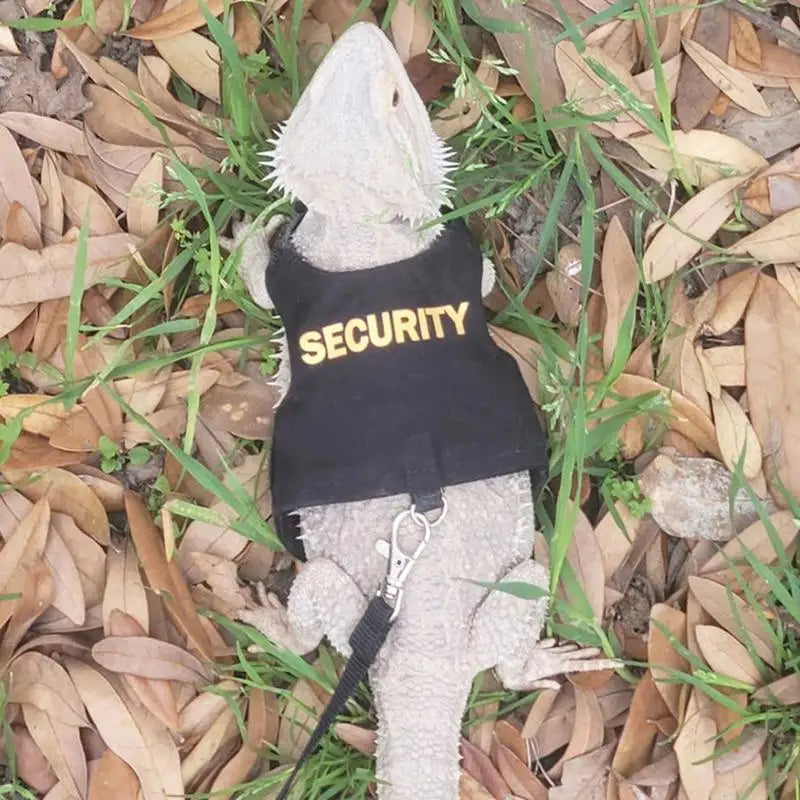 Reptile Harness & Leash | Bearded Dragon, Gecko, Lizard Reptile Harness Leash Qme