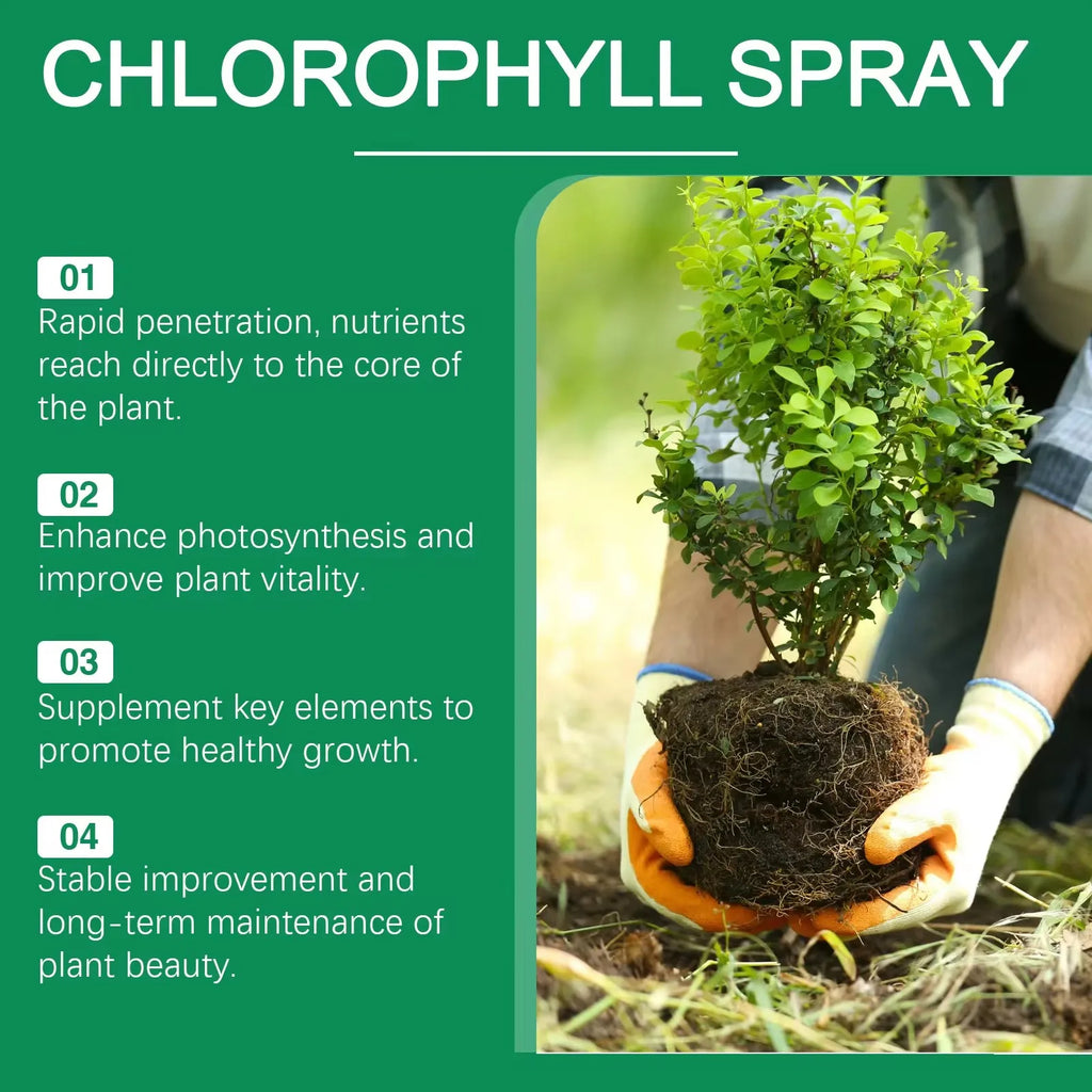 MOONSPRY Succulent Root Booster Liquid Plant Nutrient Solution Liquid Plant Nutrient Qme