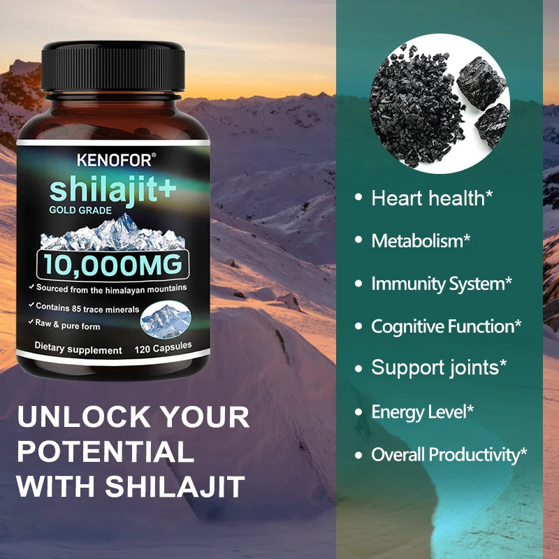Himalayan Gold Grade Shilajit Capsules – Fulvic Acid & Minerals Mineral Supplement Qst
