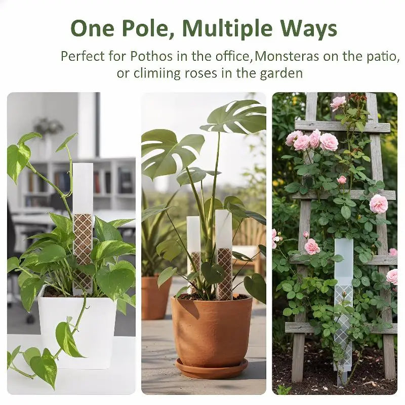 D-Shaped Self-Watering Plant Drip Stake | Adjustable Flow Plant Drip Stake Qme