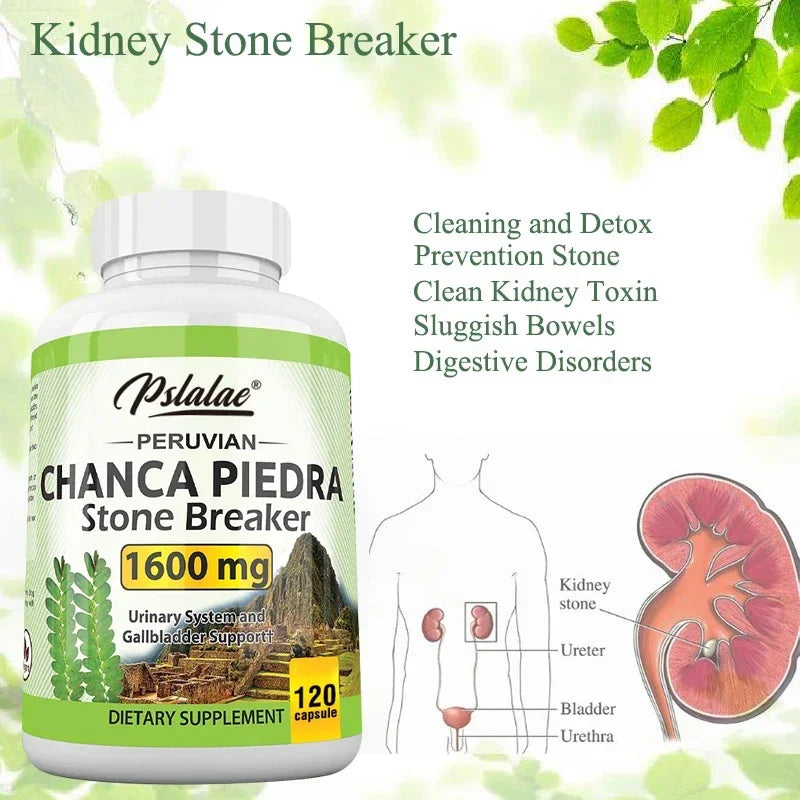Chanca Piedra Capsules 1600mg – Urinary & Liver Support Herbal Supplement Qst