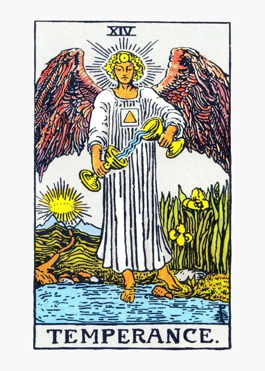 Tarot Card Canvas Wall Art – Witchy Occult Illustration Poster Canvas Wall Art Qst C 40x60cm Unframed