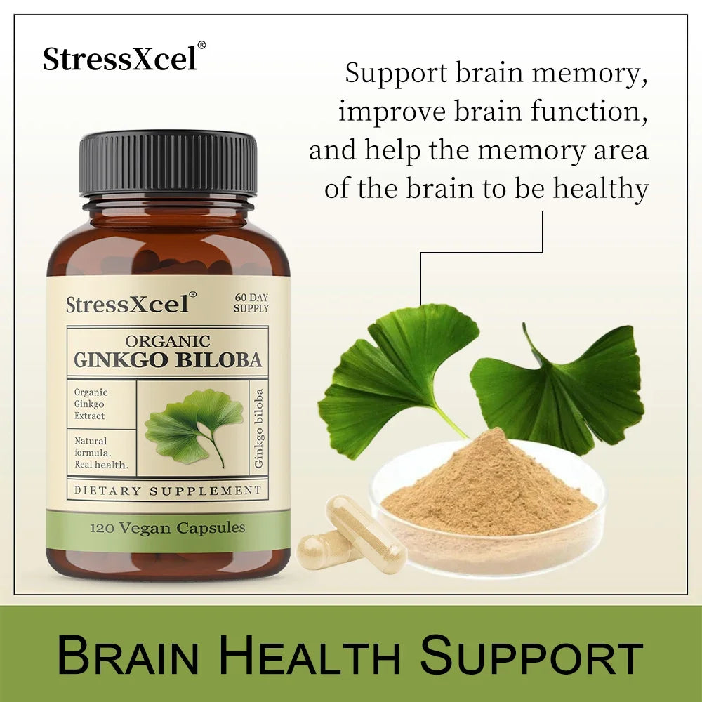 Ginkgo Biloba Capsules – Memory, Focus & Cognitive Support Herbal Supplement Qst