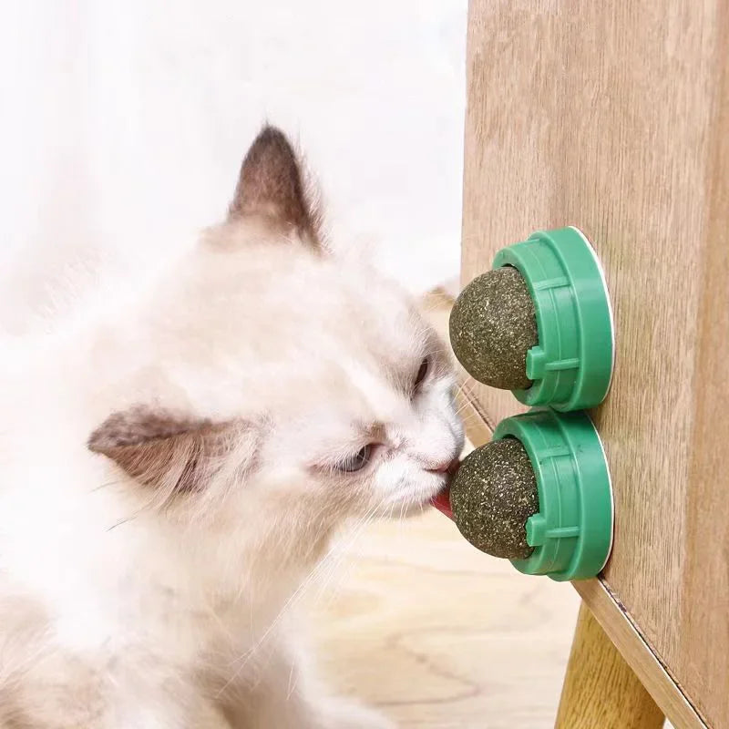Catnip Wall Stick-On Ball Toy – Natural Cat Grass & Dental Cat Catnip Toy Qst