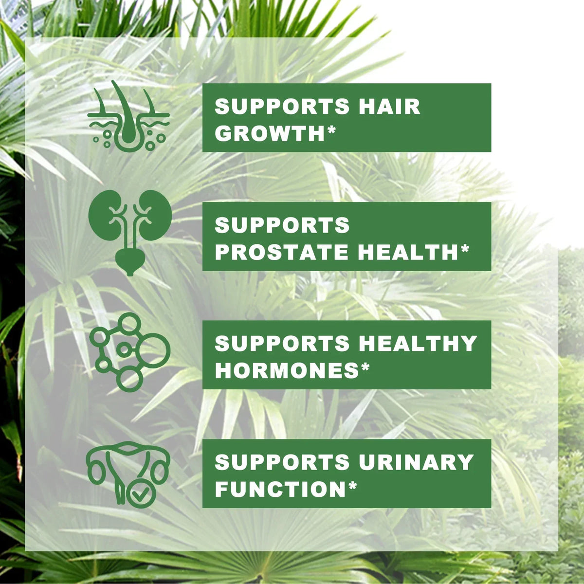 Saw Palmetto Capsules – Prostate, Urinary & Hair Growth Support Herbal Supplement Qst