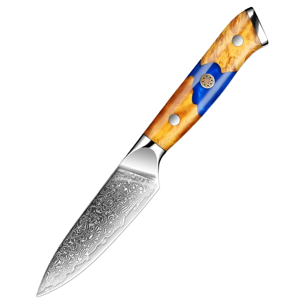 XITUO Damascus Steel Kitchen Knife Set – 1-6PCS Pro Blades Kitchen Knife Set Qst Paring Knife