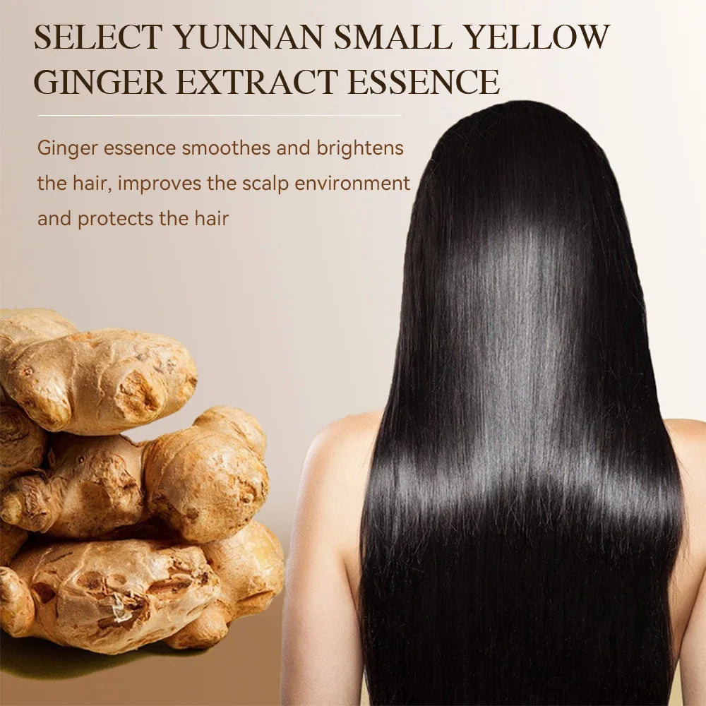 Ginger Hair Growth Shampoo – Natural Oil, Frizz & Damage Repair Hair Growth Shampoo Qst