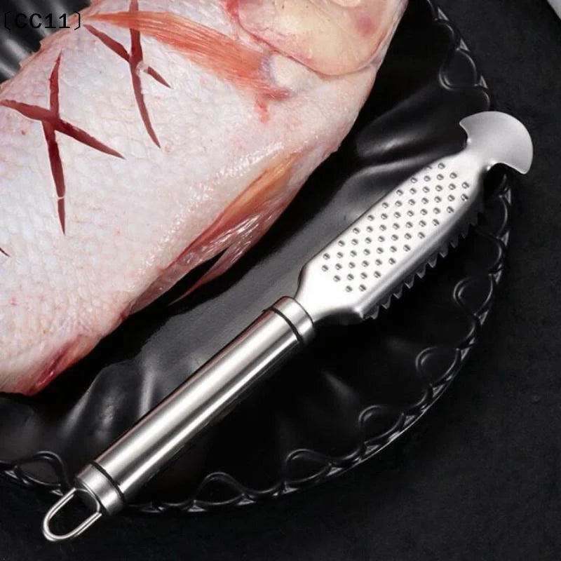 Stainless Steel Double Row Fish Scaler – Kitchen Cleaning Tool Fish Scaler Tool Qme